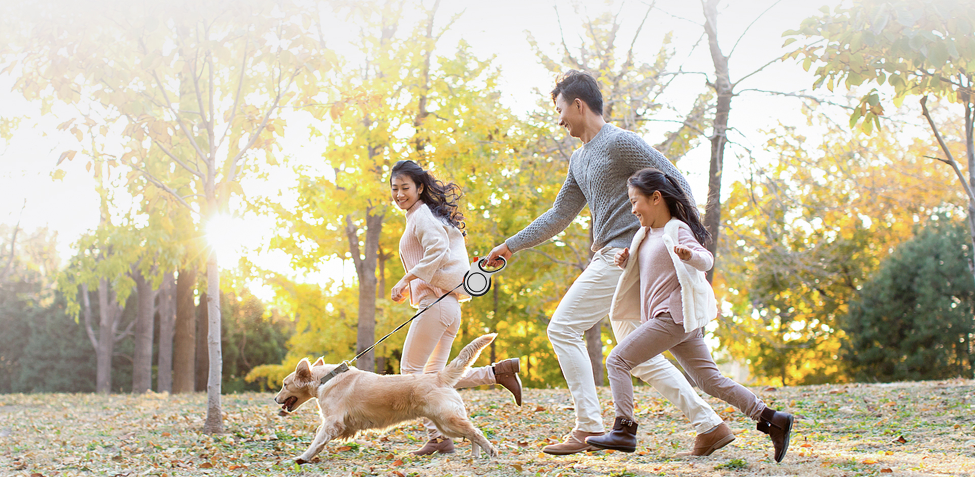 Ningbo Meace Pet Products Co., Ltd.